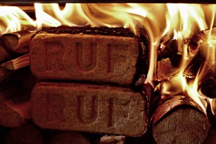 Jaké jsou výhody topení dřevěnými briketami?