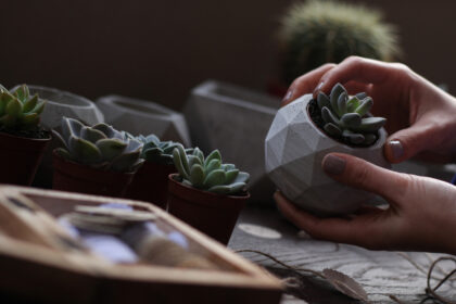 Betonové doplňky do vašeho interiéru i zahrady: stačí vědět, co k nim