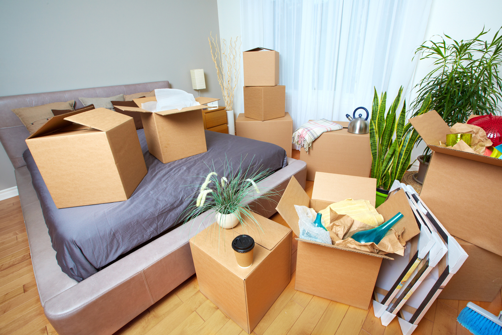 Moving,Boxes,In,New,House.,Real,Estate,Concept.