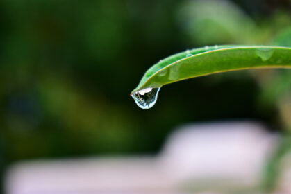 Průvodce pro zelenější životní styl