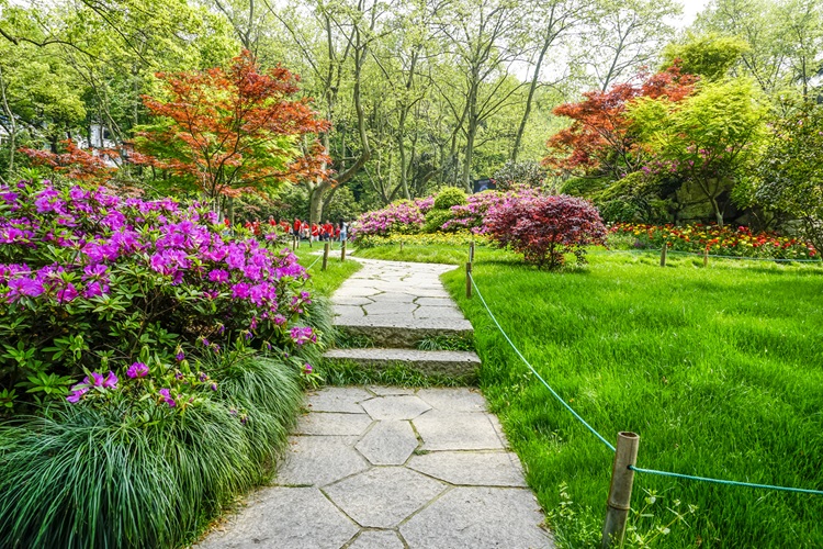 beautiful-green-park