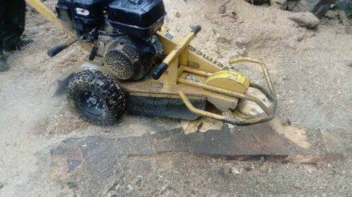 Trápí vás pařezy na zahradě? Poradíme, jak je odstranit