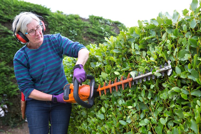 2048x1365-Hedge-trimming-SEO-LI3167228-3e7d34f