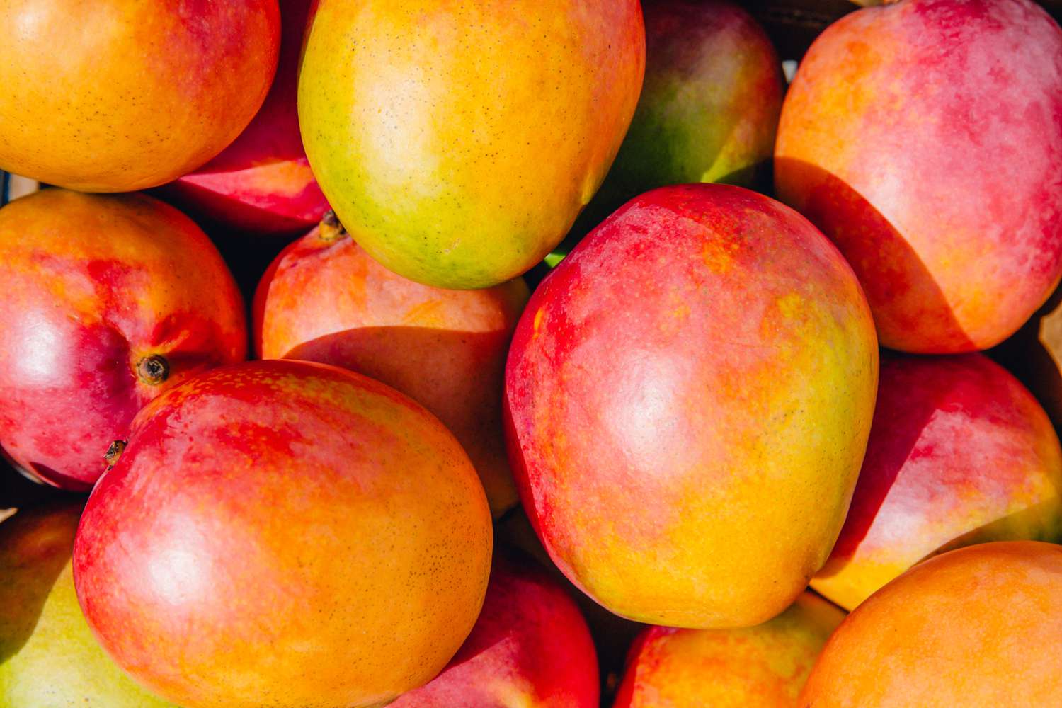 Simply-Recipes-How-Pick-mangos-LEAD-01-e0919f6832e14d248f66431e955fa521