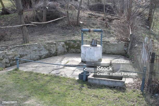 A water tank in a yard. Outdoor. Grass. Tree. Ground. Cement