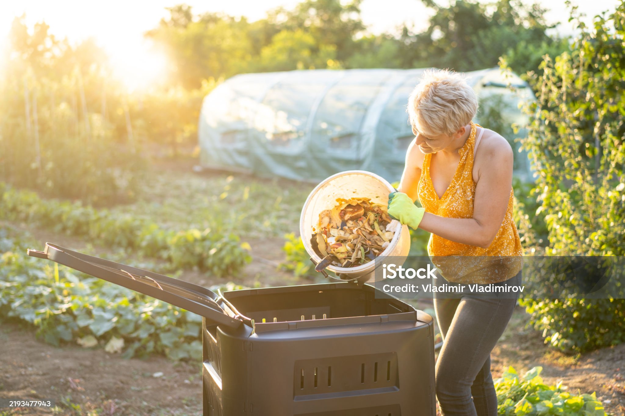 istockphoto-2193477943-2048x2048