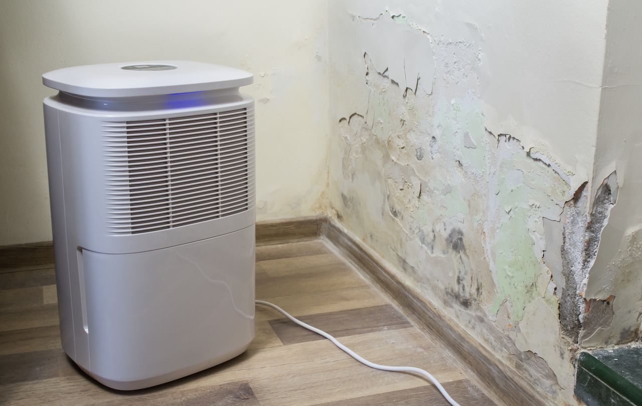 Purifier next to a damaged wall from severe mold and toxic fungus growth. Dehumidifier for water infiltration, moisture, damp and high humidity. Room air filter.