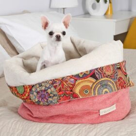 Jak vybrat správný pelíšek pro čivavku, aby byla spokojená a v teple