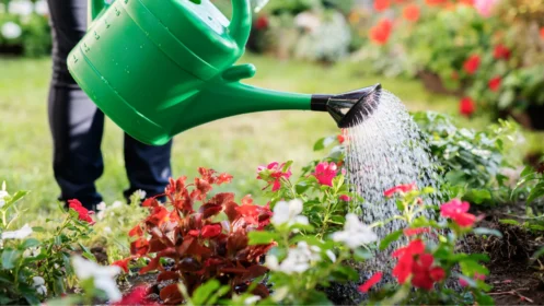 Jak v létě udržet zahradu v kondici